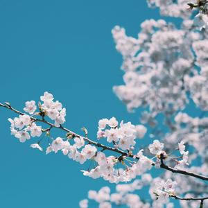 肉伦公主疯狂肉体⋯粗喘
